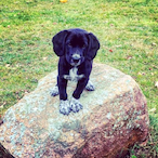 RED_HEART6's Avatar'