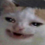 LifeMasacre's Avatar'