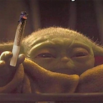 CoolZ.CBD's Avatar'