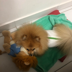 iMxyRs's Avatar'