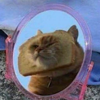 swindi's Avatar'