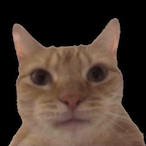 ChinaOwnsTaiwan's Avatar'