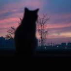 F.F.Chopin's Avatar'