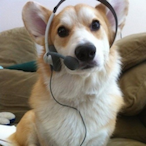 CuteLittleSalt's Avatar'