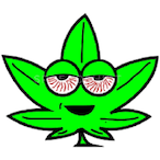 xoxpr's Avatar'
