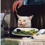 Player0268445's Avatar'