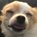 Bonny_boi's Avatar'