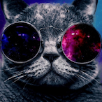CrazyCat.BMEG's Avatar'