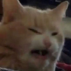 Julzig's Avatar'