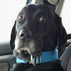 DarkToast24's Avatar'