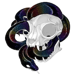 FluffyFlutter's Avatar'