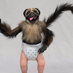 Firewater-19's Avatar'