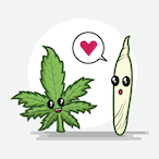 planterigolote's Avatar'