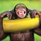 Arbaguinho's Avatar'