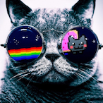 TomAss305's Avatar'