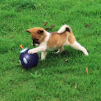 That1BrickWall's Avatar'