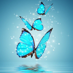 Spektira's Avatar'