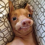 Benjax3010's Avatar'