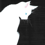 Maasan.'s Avatar'
