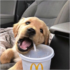 xxkami.'s Avatar'