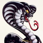 MS_Snake1964BR's Avatar