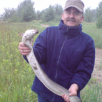 Sliski_Wegorz's Avatar'