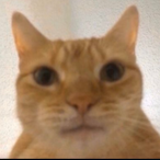 Myyamoto's Avatar'