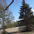 KidSkyline04's Avatar'