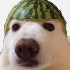 sir.sips.a.lot's Avatar'