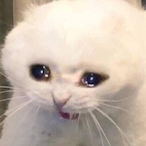 Ollar3_De_Sw4G's Avatar