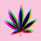 Jesus500ug's Avatar'