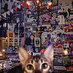 Ryuki0128ar's Avatar'