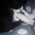 ROMAIN-0014's Avatar'