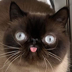 JudeJager.TISM's Avatar'