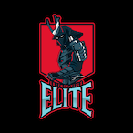 Elite.NB's Avatar'
