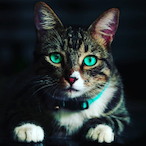 A783001's Avatar'