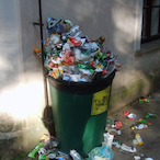 HHGTrashcan's Avatar'