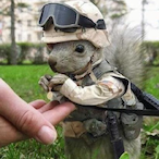 MasterYodass's Avatar'