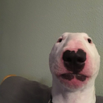 g0zie's Avatar'
