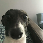 Enderlex909's Avatar'