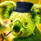 Codiie_'s Avatar'