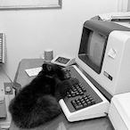SkilledCub's Avatar'