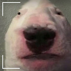 thedirtman6's Avatar'