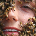 ABeesNostril's Avatar'