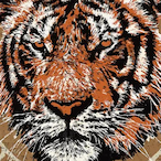 charlieb_77's Avatar'