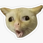 ObamasTears's Avatar'