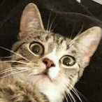 itsMassimo_'s Avatar'