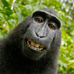 Bagunger's Avatar'