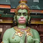 Didis_Krebs's Avatar'