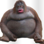 Spider.From.MC's Avatar'